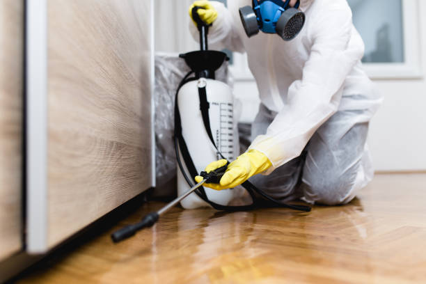 Best Pest Inspection Near Me  in Blackwood, NJ