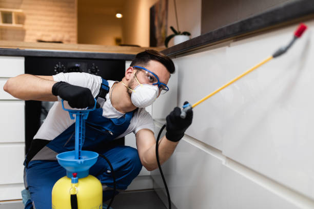 Best Affordable Pest Control Services  in Blackwood, NJ