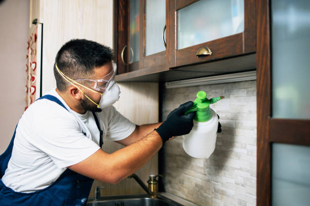Insect Control in Blackwood, NJ