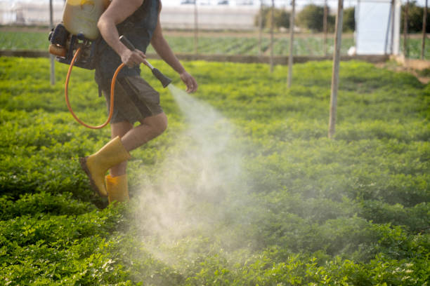 Best Local Pest Control Services  in Blackwood, NJ