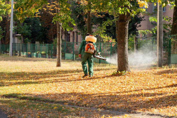 Best Pest Prevention Services  in Blackwood, NJ