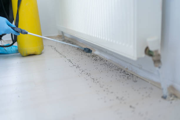 Pest Control for Restaurants in Blackwood, NJ