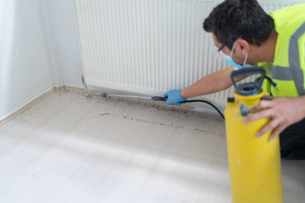 Best Residential Pest Control  in Blackwood, NJ